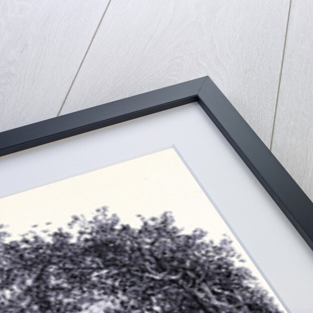 Whiteface Seen from Lake Placid by Anonymous