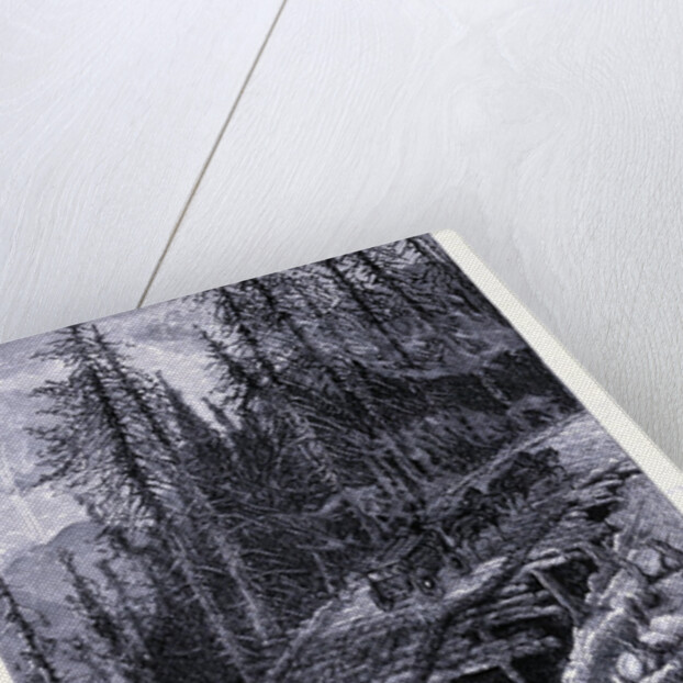 A Path on Mount Mansfield by Anonymous