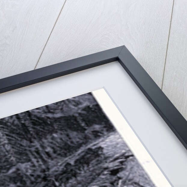 A Path on Mount Mansfield by Anonymous