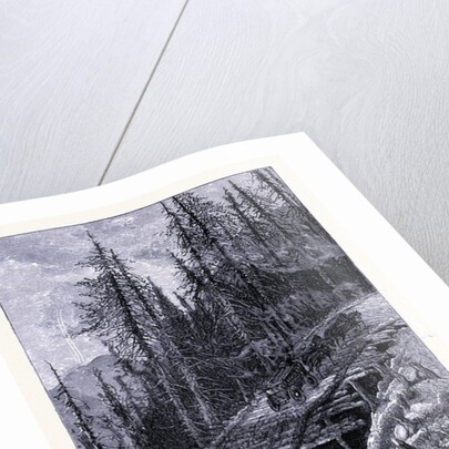 A Path on Mount Mansfield by Anonymous