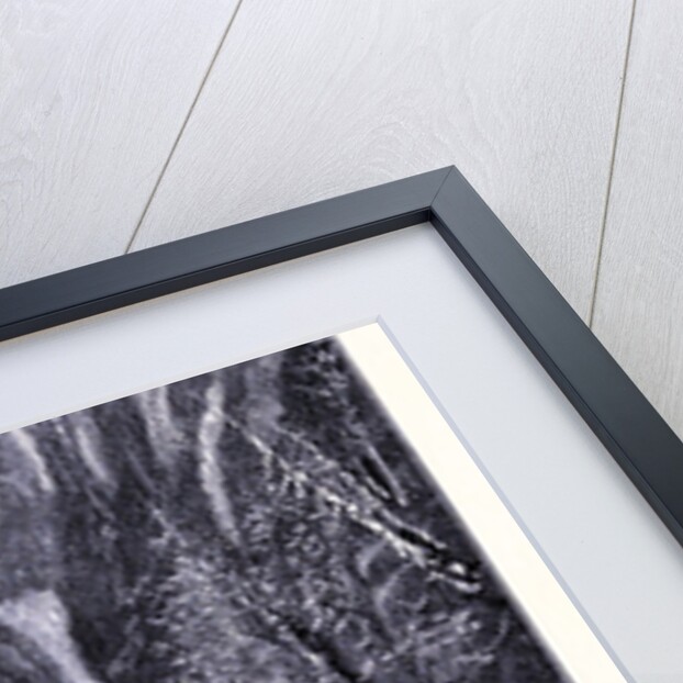 The Moss-Glen-Cascade by Anonymous