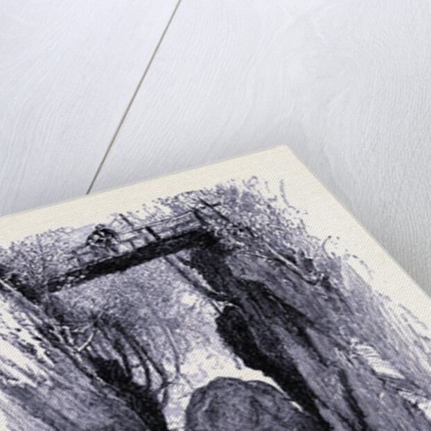 Flume Gorge by Anonymous