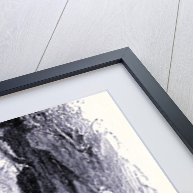 Flume Gorge by Anonymous