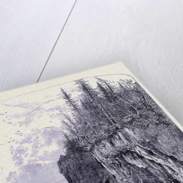 The Rock Near the Ovens Maine by Anonymous