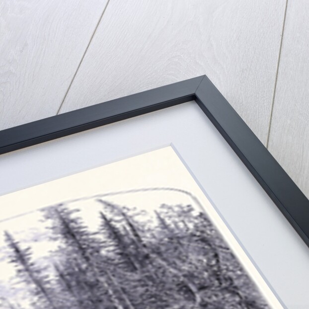 The Rock Near the Ovens Maine by Anonymous