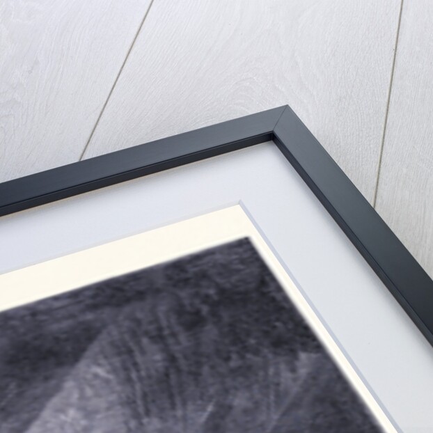 The Spouting Horn by Anonymous