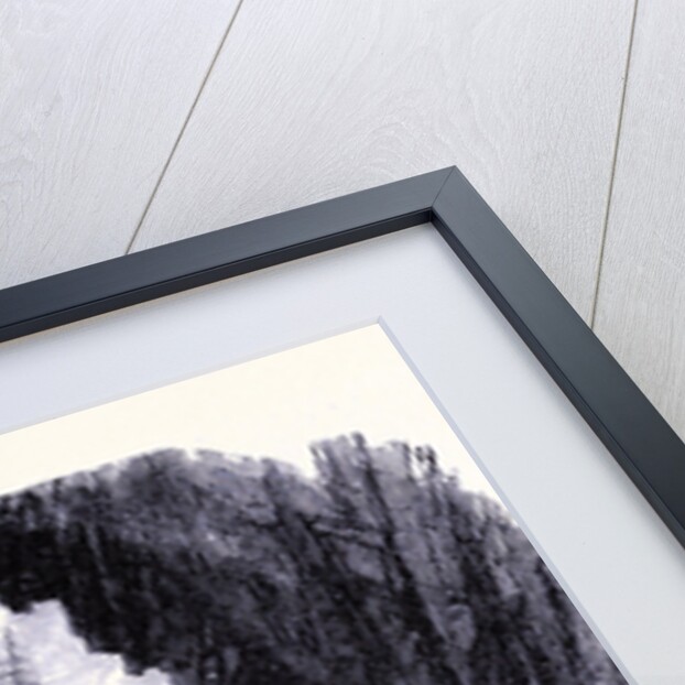 View from Via Mala Towards the Ovens by Anonymous