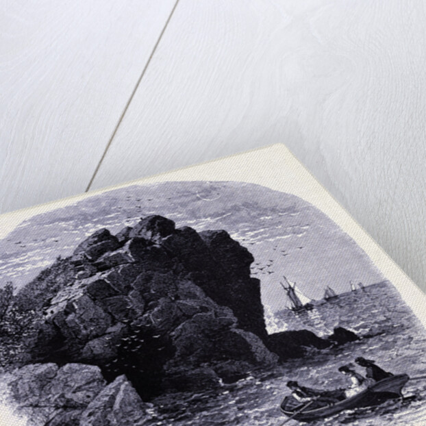 The Swallow Cave by Anonymous