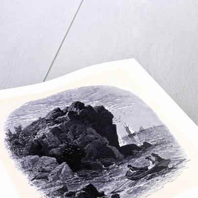 The Swallow Cave by Anonymous