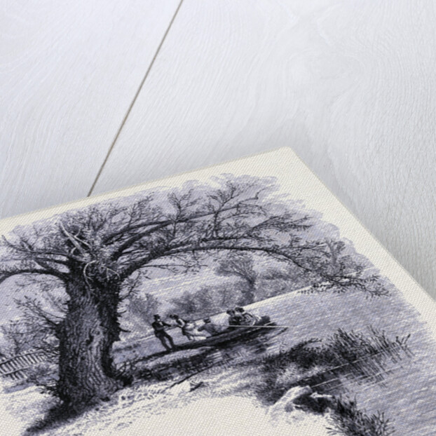 Boston Common Boston by Anonymous