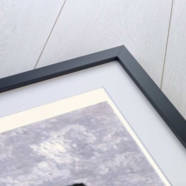 The Old Fort Dumpling by Anonymous