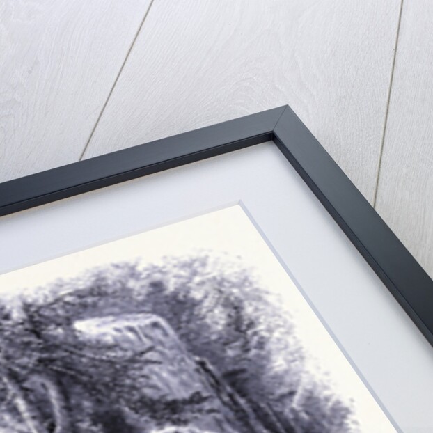 Silver Waterfall Sage's Ravine by Anonymous