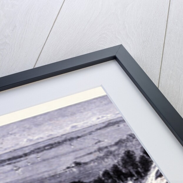 White Hill by Anonymous