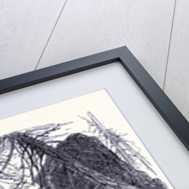 Pudding Stone Hall by Anonymous