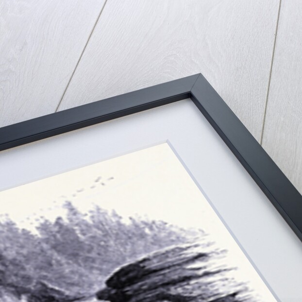 Sherman Fall by Anonymous