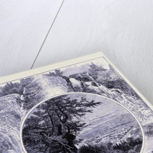 At Cayuga Lake by Anonymous