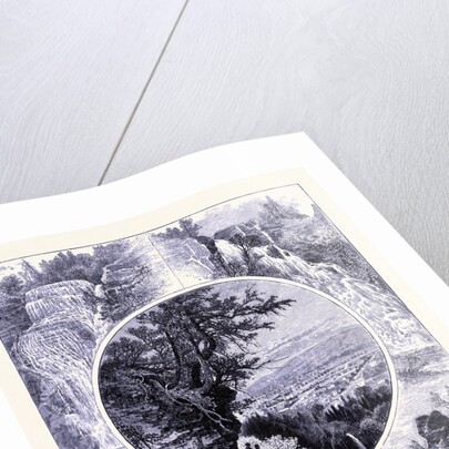 At Cayuga Lake by Anonymous