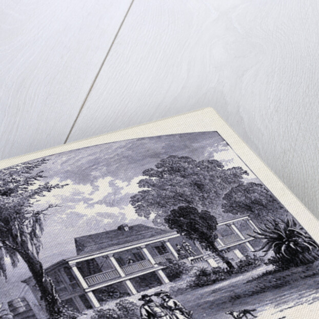 A House Near the Mississipi by Anonymous