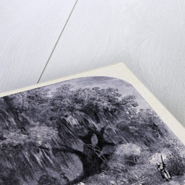 Rural Life by Anonymous