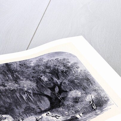 Rural Life by Anonymous