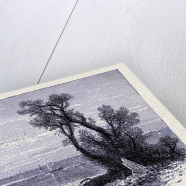 The River Mouth of the Rocky River by Anonymous