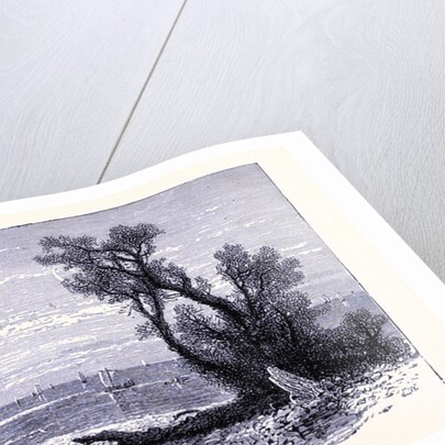 The River Mouth of the Rocky River by Anonymous