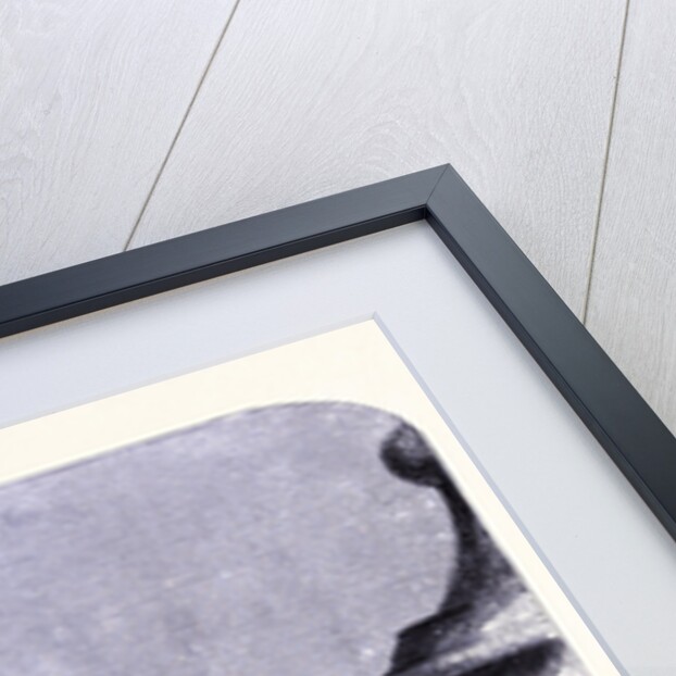 Detroit Seen from the Town Hall by Anonymous