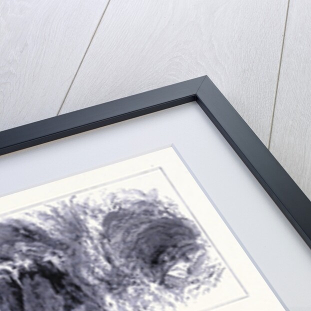 The Mammoth Cave in Kentucky by Anonymous