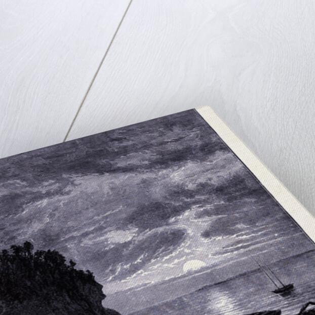 The Empress of the Lake by Anonymous