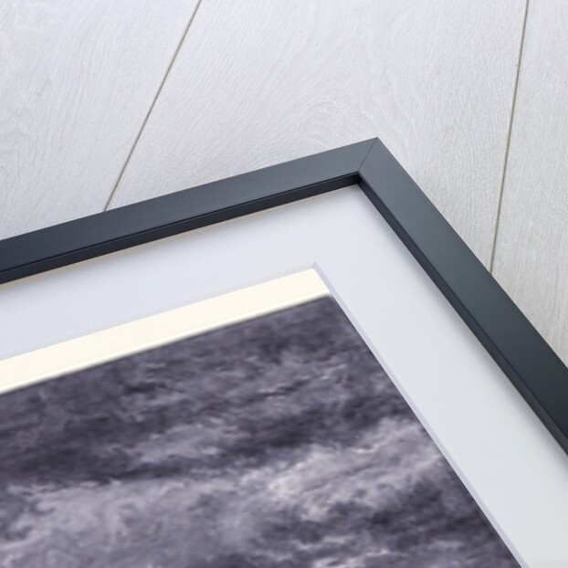 The Empress of the Lake by Anonymous