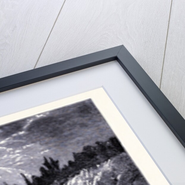 Isle Royale by Anonymous