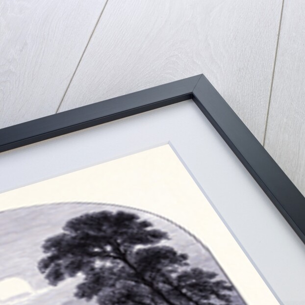 Queens Bluft Near Trempealeau by Anonymous