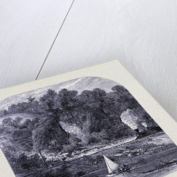 Limestone Rocks Near St. Paul by Anonymous