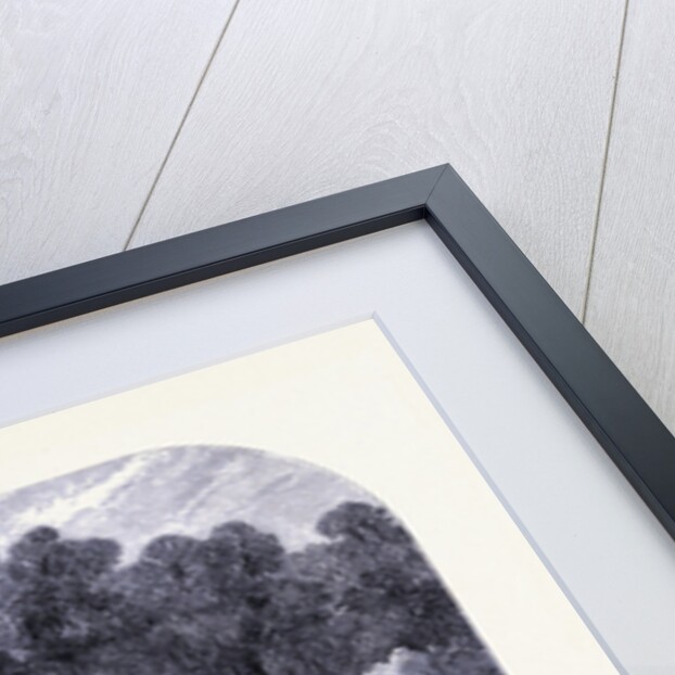 Limestone Rocks Near St. Paul by Anonymous