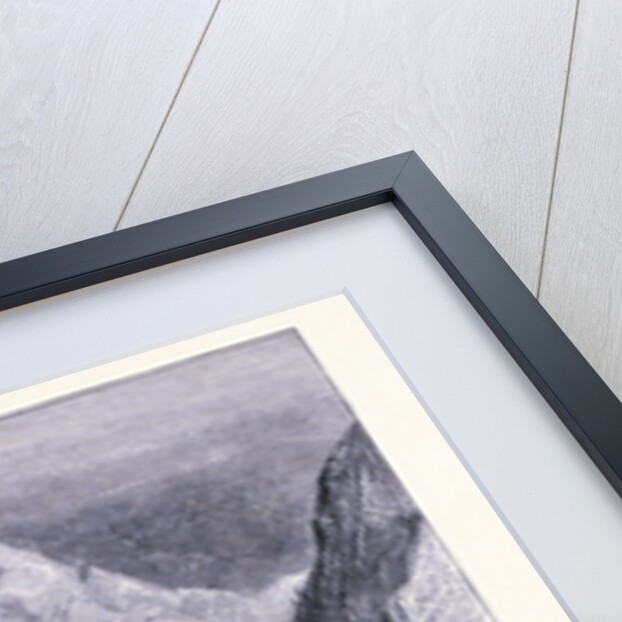 Limestone Rocks Near Pitt River by Anonymous