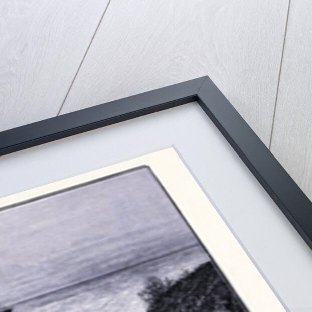 Coast of Mendocino by Anonymous