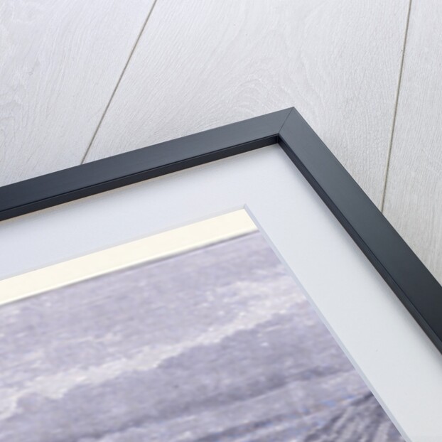 Alcatraz Island by Anonymous