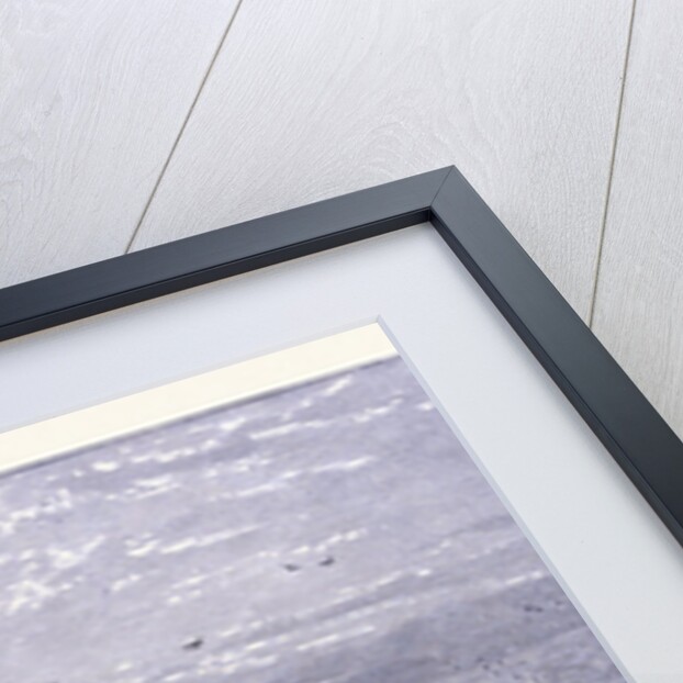 Point San Pedro Near San Francisco by Anonymous