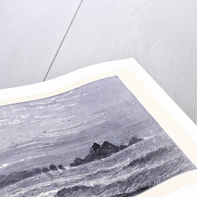 Point San Pedro Near San Francisco by Anonymous