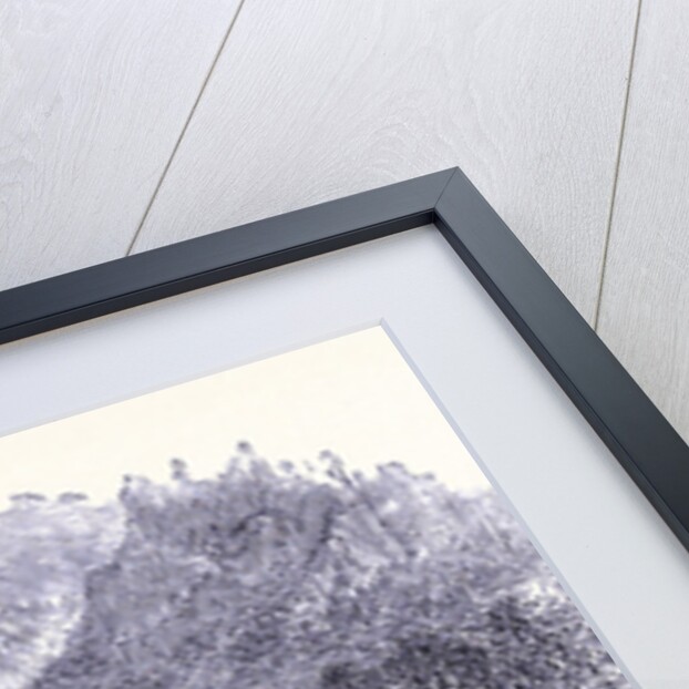 A Horse Race by Anonymous