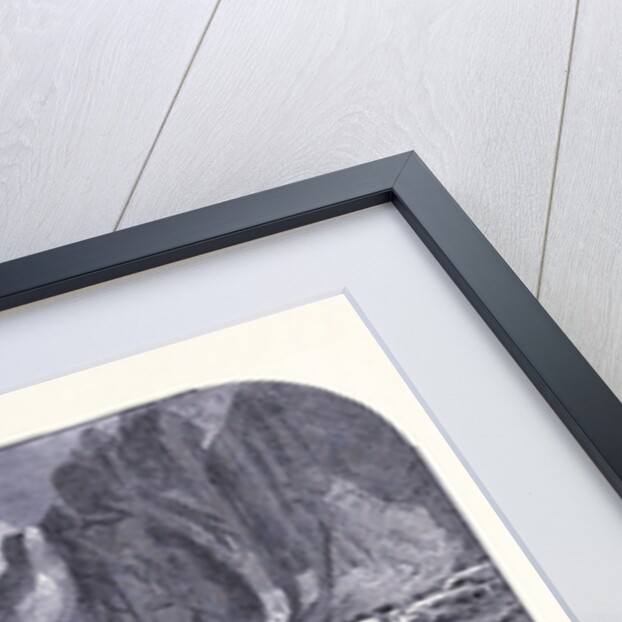 Yosemite Falls by Anonymous