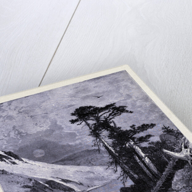 Frozen Lake Fort Seen from James Peak by Anonymous