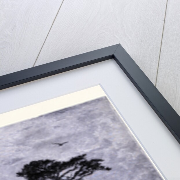 Frozen Lake Fort Seen from James Peak by Anonymous