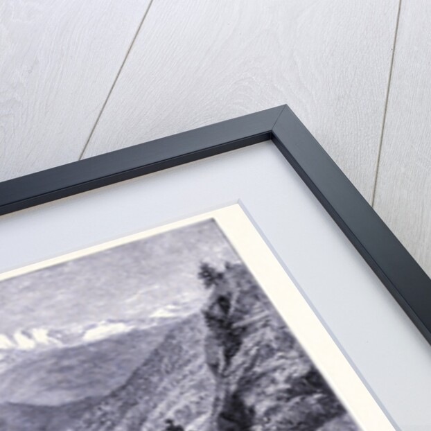 Gray's Peak by Anonymous