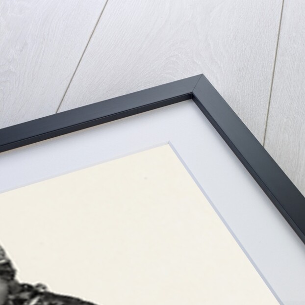 Kurdish Hunter by Anonymous