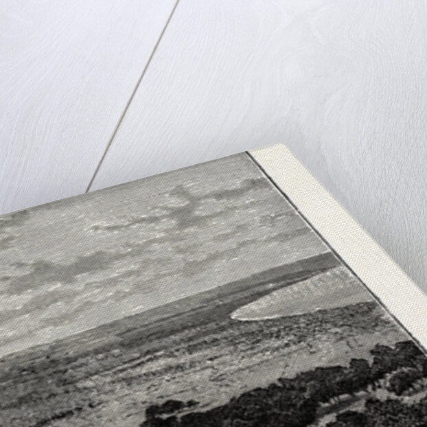 View In The Plain Of Latakia, In Syria by Anonymous