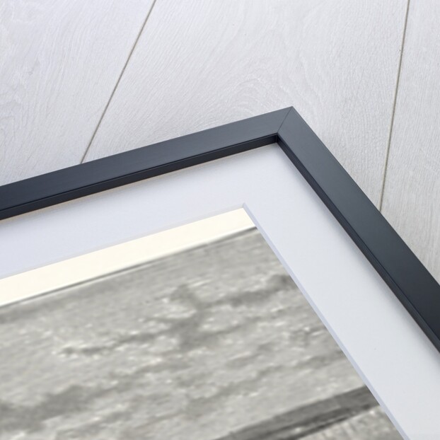 View In The Plain Of Latakia, In Syria by Anonymous