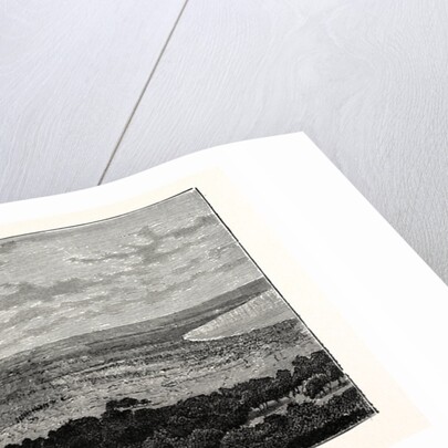 View In The Plain Of Latakia, In Syria by Anonymous