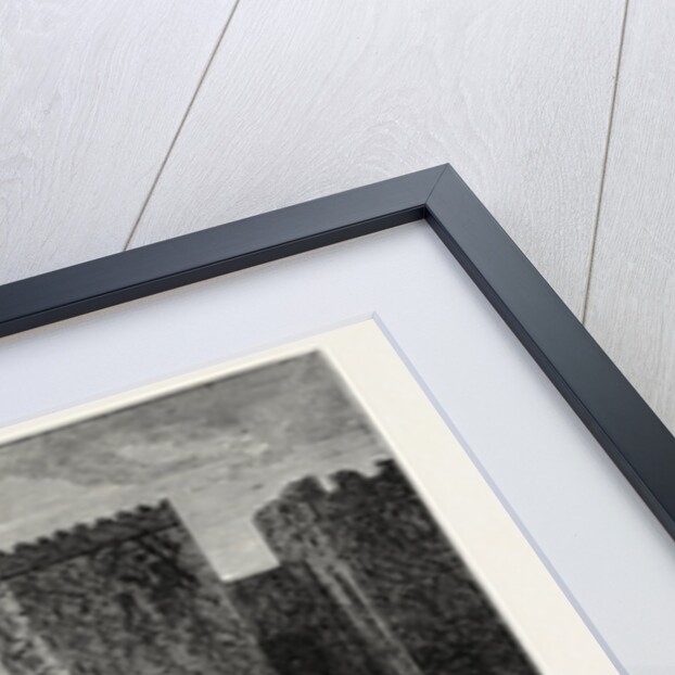 View In The Environs Of Damascus by Anonymous