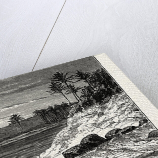 View On The Banks Of The Euphrates by Anonymous